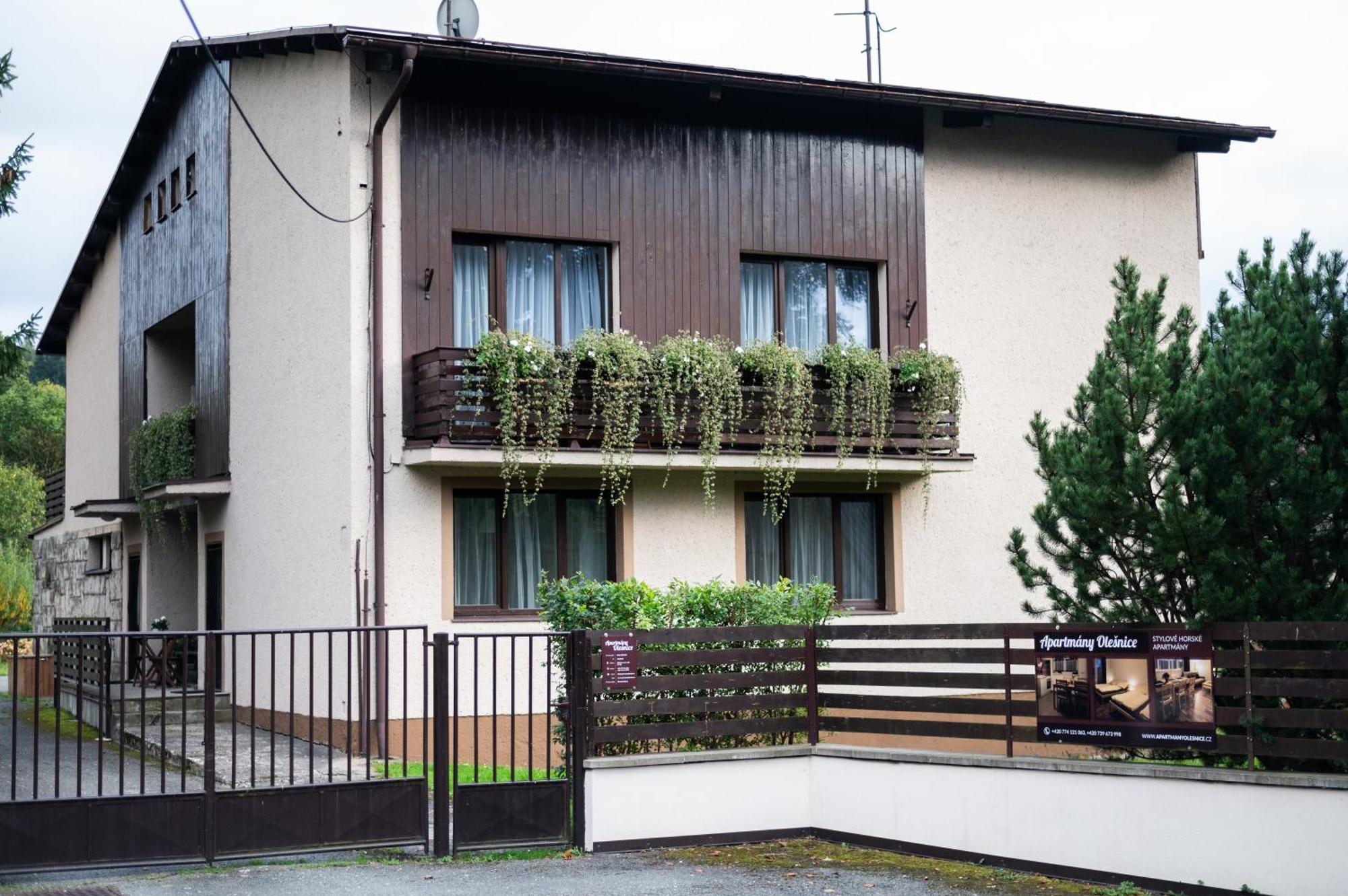 Apartmany Olesnice Olešnice v Orlických horách エクステリア 写真