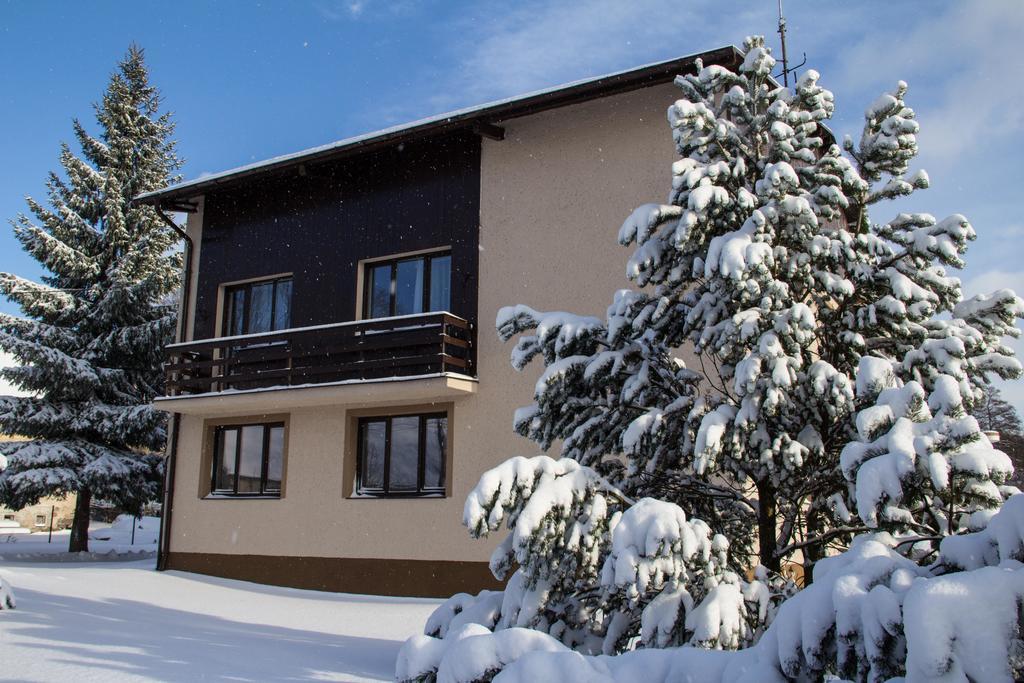 Apartmany Olesnice Olešnice v Orlických horách エクステリア 写真